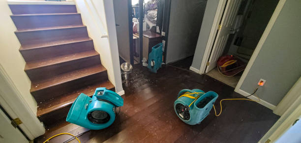Best Local water damage restoration  in Round Lake Heights, IL