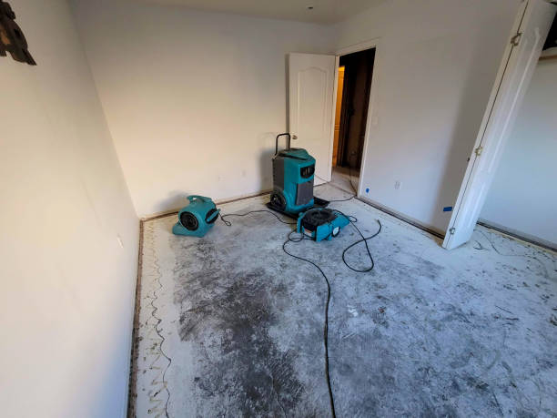Best Carpet water damage restoration  in Round Lake Heights, IL