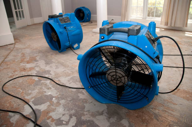 Best Ceiling water damage repair  in Round Lake Heights, IL