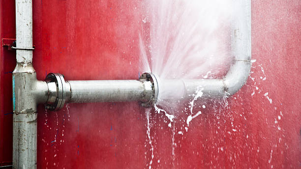 Best Flood restoration services  in Round Lake Heights, IL