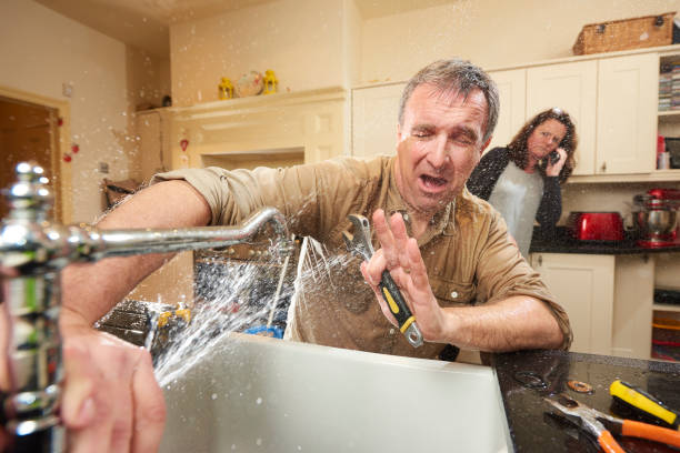 Best Water damage restoration near me  in Round Lake Heights, IL